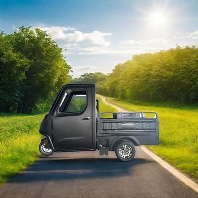 Opzionale 1000/1200/2000/3000W tricicli elettrici per famiglia 3 ruote E-Bike e Pedicab