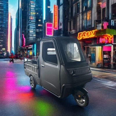 Opzionale 1000/1200/2000/3000W tricicli elettrici per famiglia 3 ruote E-Bike e Pedicab