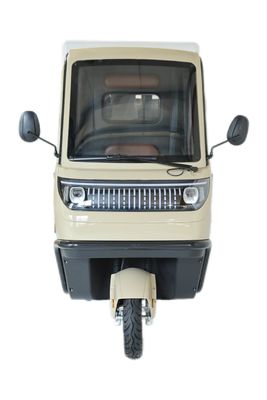 Tricicli elettrici 3 ruote E-Bike Motociclette a tre ruote con 70-90 km di distanza