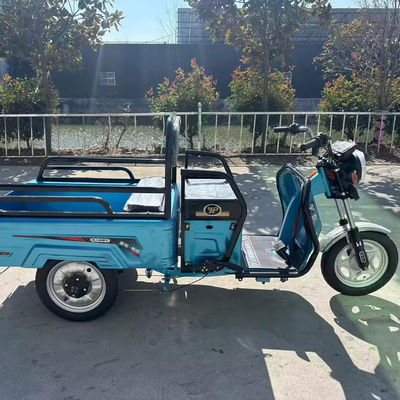 Trasporto di merci pesanti con pneumatici di dimensioni 3,75-12 600kg 1000w motociclo elettrico a 3 ruote