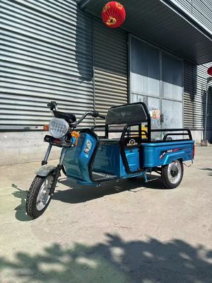 Custom Farm Motocicletta tricicletta elettrica da 1200W con sistema freno a tamburo posteriore