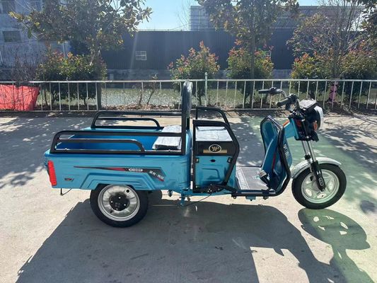 Custom Farm Motocicletta tricicletta elettrica da 1200W con sistema freno a tamburo posteriore