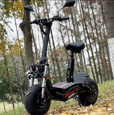 Off Road 2000W 3000W Scooter elettrico di mobilità COC CEE Motore senza spazzola 10 pollici Hub Motor Scooter elettrico Motorbike con CE