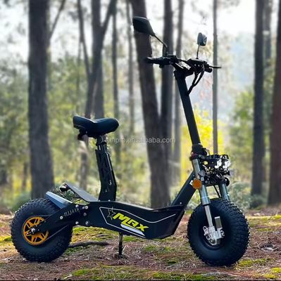 Off Road 2000W 3000W Scooter elettrico di mobilità COC CEE Motore senza spazzola 10 pollici Hub Motor Scooter elettrico Motorbike con CE