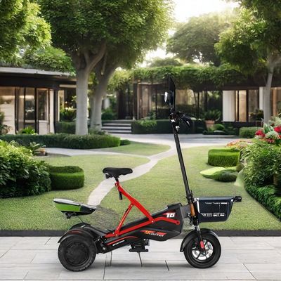 Scooter elettrico con doppio motore senza spazzole e telaio in acciaio 48V500W*2 batteria al litio
