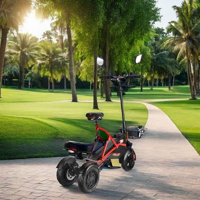 Scooter elettrico con doppio motore senza spazzole e telaio in acciaio 48V500W*2 batteria al litio