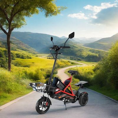 Scooter elettrico con doppio motore senza spazzole e telaio in acciaio 48V500W*2 batteria al litio