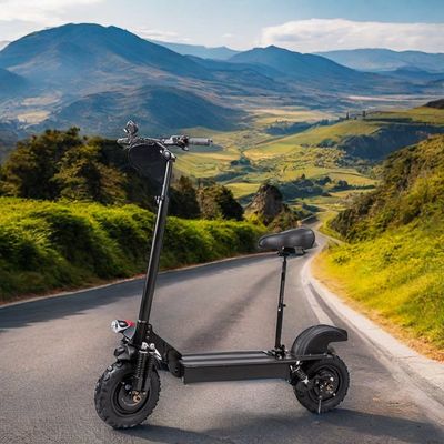 11&quot; Scooter elettrico unisex all'esterno senza tubi 800W 1000W*2 60V18ah