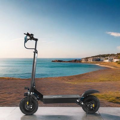 11&quot; Scooter elettrico unisex all'esterno senza tubi 800W 1000W*2 60V18ah