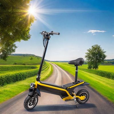 E-Scooter rimovibile a batteria da 350W/500W con design pieghevole e autonomia massima di 35 km/45 km