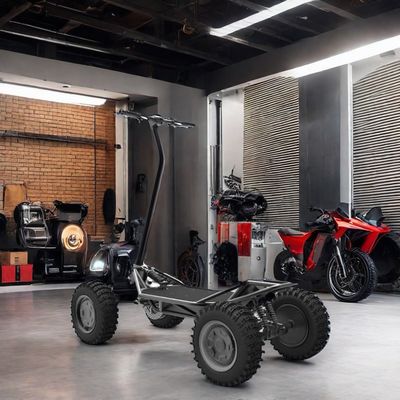 OEM Smart Digital Sensor Electronic Bluetooth 2kw 48V30ah Scooter elettrico per fuoristrada