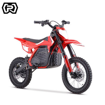 Moto Dirt Bike elettrica con motore da 1200W e batteria al litio da 48v20ah