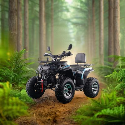 200CC ATV 250CC ATV Adulto ATV Quad Bike con Chain Drive e 1000W Electric Pull Start