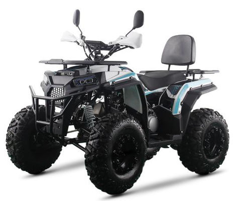 200CC ATV 250CC ATV Adulto ATV Quad Bike con Chain Drive e 1000W Electric Pull Start