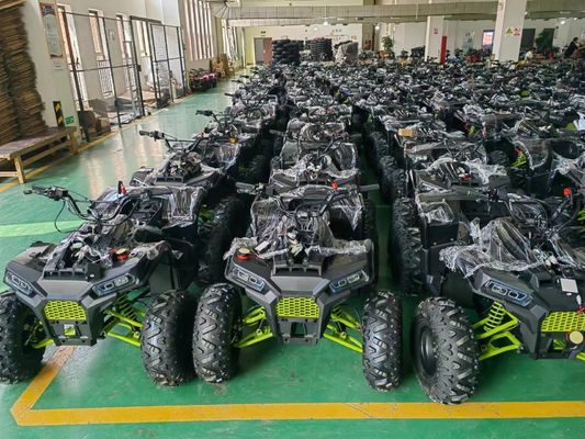 200CC ATV 250CC ATV Adulto ATV Quad Bike con Chain Drive e 1000W Electric Pull Start
