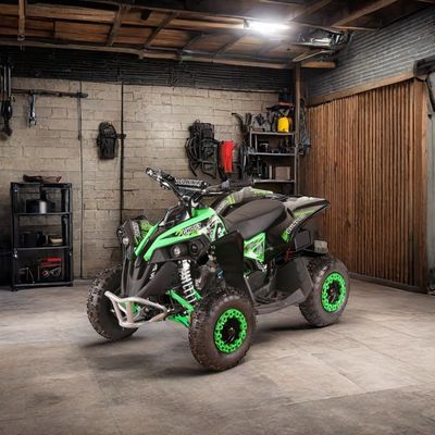 Dimensione delle ruote R 14*5.00-6 49CC AUTOMATICO Mini Electric Start ATV Quad Bike con CE Approved