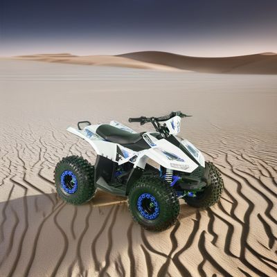 2024 Adolescenti 4x4 1000W 48V 1200W Azionamento a fuso elettrico Quad Bike Electric Quad ATV