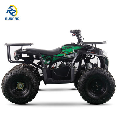 2WD All-terrain Double Four-wheeler Beach Buggy con capacità di carico utile da 100 a 200 kg Perfetto