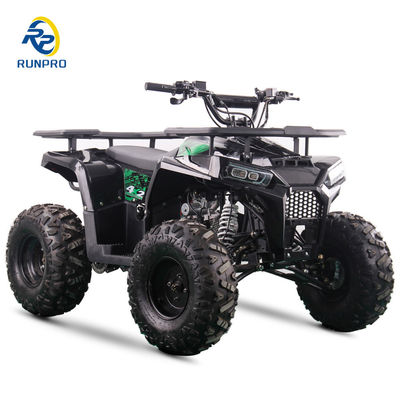 2WD All-terrain Double Four-wheeler Beach Buggy con capacità di carico utile da 100 a 200 kg Perfetto