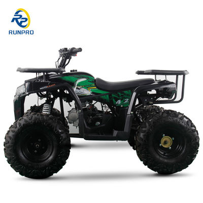 2WD All-terrain Double Four-wheeler Beach Buggy con capacità di carico utile da 100 a 200 kg Perfetto