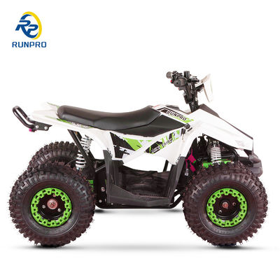 1200W48V20AH Differenziale a trazione d'albero elettrico 4 ruote ATV per gli appassionati di mini quad