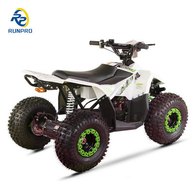 1200W48V20AH Differenziale a trazione d'albero elettrico 4 ruote ATV per gli appassionati di mini quad