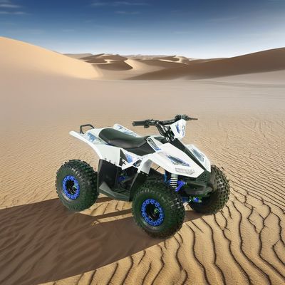 Kids Electric ATV Quad Bike con passo tra le ruote 600-1000 mm e dimensione complessiva 1250x760x800 mm