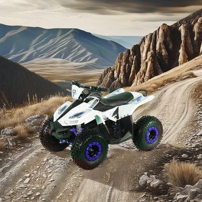 Kids Electric ATV Quad Bike con passo tra le ruote 600-1000 mm e dimensione complessiva 1250x760x800 mm