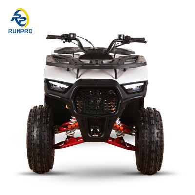 Freno a disco idraulico anteriore e posteriore 125cc Farm ATV Quad con ruote 19*7-8/18*9.5-8