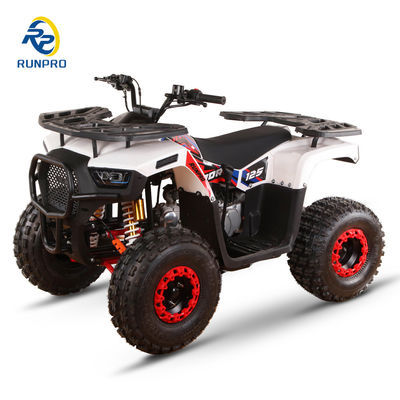 125cc 150cc ATV importato a quattro ruote con cambio automatico e capacità del serbatoio ≤10L