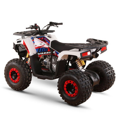 125cc ATV a gas per adulti Direzione alta capacità ≥25° Dislocamento 125cc