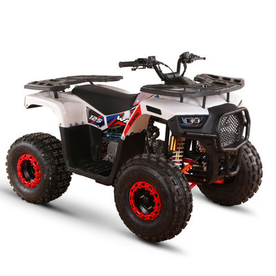 125cc ATV a gas per adulti Direzione alta capacità ≥25° Dislocamento 125cc