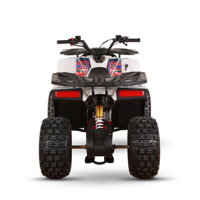 Transmissione automatica da 1000W Tipo 4x4 ATV UTV Off Road Farm Motor 150cc Quattro ruote