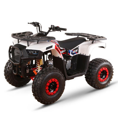 Transmissione automatica da 1000W Tipo 4x4 ATV UTV Off Road Farm Motor 150cc Quattro ruote