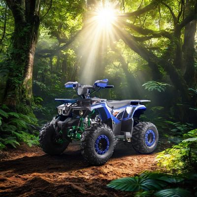 Potenti quadricicli a benzina da 125 cc con tipo di guida 2WD e caratteristiche interessanti