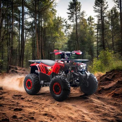 Potenti quadricicli a benzina da 125 cc con tipo di guida 2WD e caratteristiche interessanti