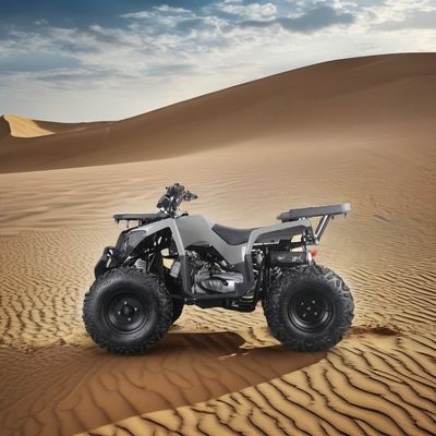 Potente ATV a gas da 200cc per adulti Torque massima da 40-60Nm e velocità massima di 75km/h