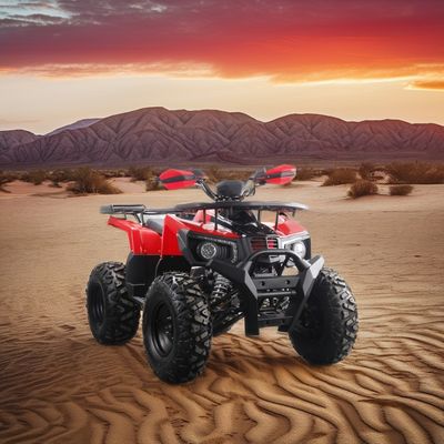 Potente ATV a gas da 200cc per adulti Torque massima da 40-60Nm e velocità massima di 75km/h