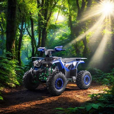 Adulti Bambini Acciaio 2WD 12V Azionamento manuale elettrico a catena con cambio inverso 125cc quad automatici ATV