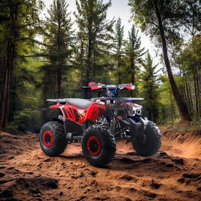 Adulti Bambini Acciaio 2WD 12V Azionamento manuale elettrico a catena con cambio inverso 125cc quad automatici ATV