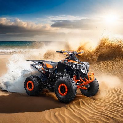 110cc raffreddato ad aria Benzina 4 ruote ATV Quad Bike con coppia massima Nm di 20-40Nm