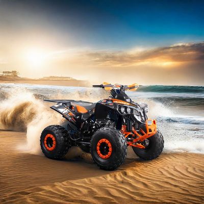 110cc raffreddato ad aria Benzina 4 ruote ATV Quad Bike con coppia massima Nm di 20-40Nm