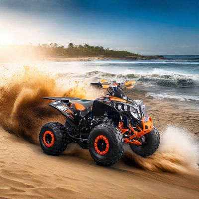 Trasmissione a catena 125CC ATV 4 ruote con motore potente e certificazione CE