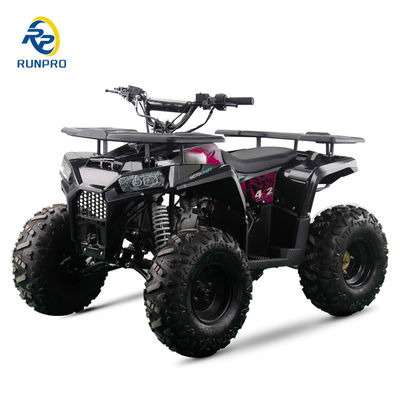 Certificato CE 125cc 4 stroke Petrol Beach Buggy con ruote da 8 pollici e 150 kg di carico massimo