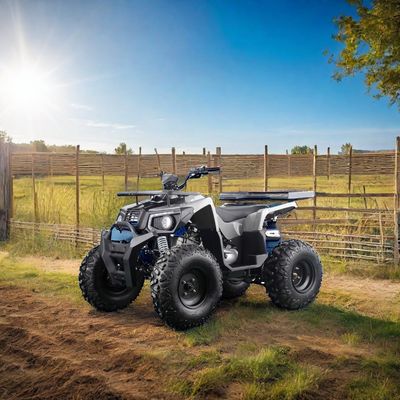 Terreno 200cc con motore automatico e ruote in acciaio da 10 pollici