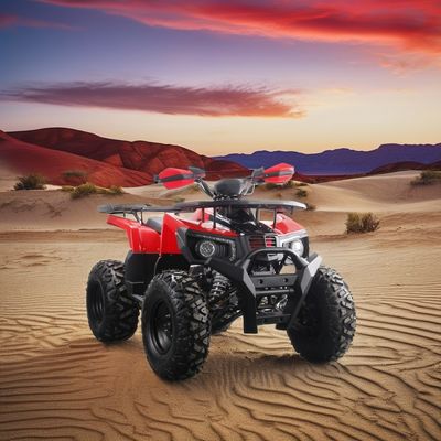 2024 Runpro 10 pollici pneumatici in acciaio 200cc ATV con luce a LED Scatenare il vostro avventuriero interiore