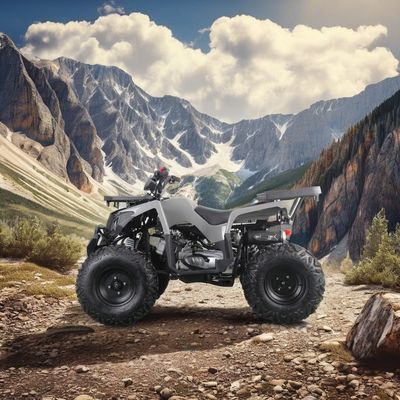 2024 Runpro 10 pollici pneumatici in acciaio 200cc ATV con luce a LED Scatenare il vostro avventuriero interiore
