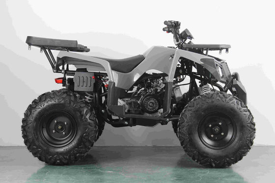 Off-road 10 pollici pneumatici 200cc 250cc adulto quad ATV con avvio automatico e a catena