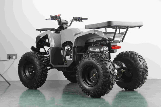 Off-road 10 pollici pneumatici 200cc 250cc adulto quad ATV con avvio automatico e a catena