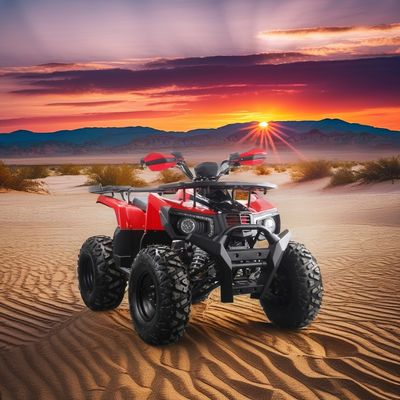 Off-road 10 pollici pneumatici 200cc 250cc adulto quad ATV con avvio automatico e a catena